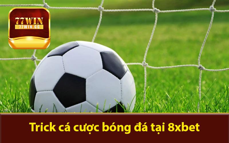 Kiếm tiền từ các trick cá cược bóng đá tại 8xbet đỉnh cao