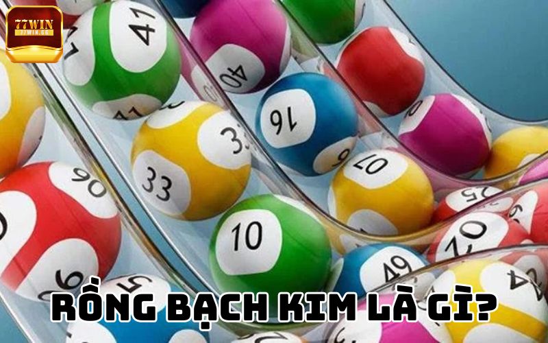 Rồng bạch kim là gì?