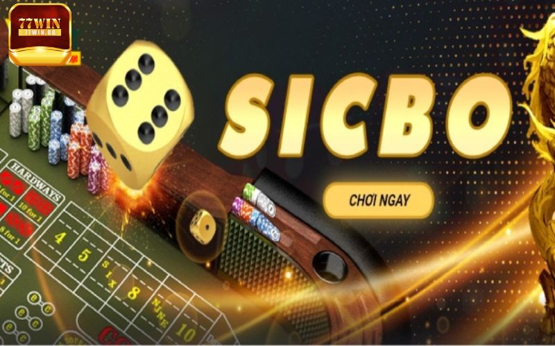 Những chiêu thức đặt cược sicbo tại 77win luôn thắng